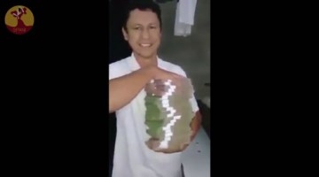 委内瑞拉货币疯狂贬值 1米高钞票能买1瓶汽水