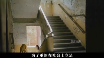 《狗阵》：彭于晏最新获奖电影