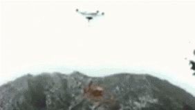 男子用无人机遛狗 狗狗被带上天后消失