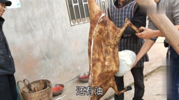 实拍农村杀羊全过程，这头黑山羊的个头都快赶上小猪仔了，膏满肉肥