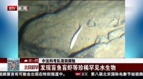 中法科考队溶洞探险 发现盲鱼盲虾等罕见生物