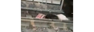 【拍客】实拍女子坠轨被火车碾过 奇迹生还毫无损伤