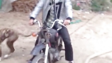 牛人