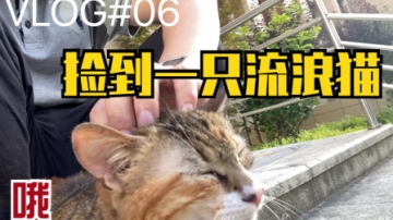 VLOG#06 突然捡到一只流浪猫