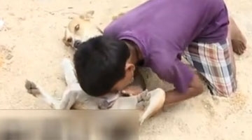 印度10岁男孩喝狗奶上瘾 喝了6年附近流浪狗都认识