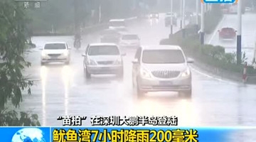 大亚湾暴雨持续 阵风高达10级行道树倒伏路边