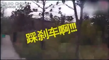 史上最惊险学车视频 副驾驶怒吼“踩刹车啊”