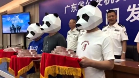 刚刚！3人戴熊猫头从广东公安厅抱走50万现金