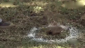 街头恶搞 这样的足球作弊也踢不到