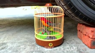 趣味实验；牛人把玩具小鸟和牛奶放在车轮下，勿模仿