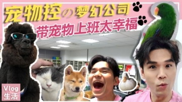 宠物控的梦幻公司，来这里上班太幸福！