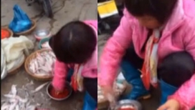 【拍客】潮汕鱼贩当街给鱼染色
