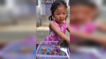 少儿益智：萌娃的棒棒糖不见了