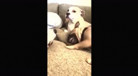 伴奏的男声合唱，二重唱！