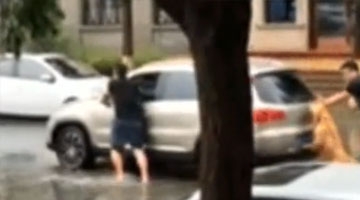 半路遇到汽车抛锚 狗狗下来帮着推