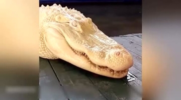 搞笑奇闻异事集锦 ，最服最后一个，那样都没死