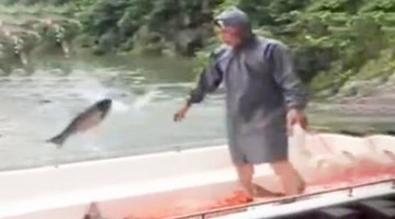 鱼儿争先蹦上船求带走