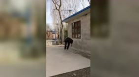 退伍特战队小伙回到村里，表演拿手绝活，村民都看呆了