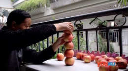 高手在民间 实拍牛人将十几个苹果垂直叠起不掉