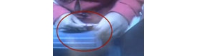 【拍客】监拍女子AMT机上用假钞换真币