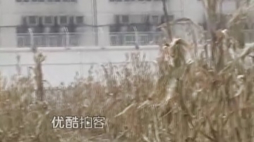 [拍客]河南豫北监狱发生服刑人员越狱事件