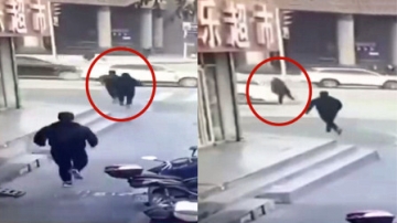 实拍：辅警追小偷被车撞上 接下来一幕全网点赞！