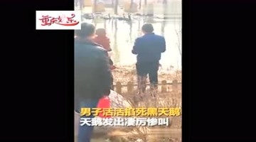 男子大年初一跳入公园湖中 众目睽睽下掐死黑天鹅