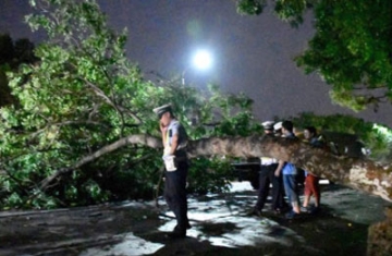 强台风“妮妲”今天凌晨在深圳登陆 中心最大风力达14级