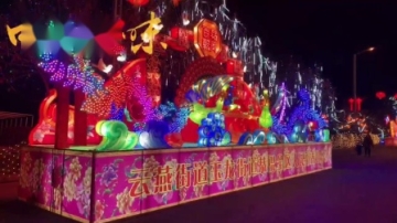 大同灯会现场实拍
