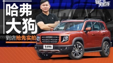 实拍车： 哈弗大狗实车到店！1.5T动力兼顾家用 外观够硬派 或将是下一个爆款？