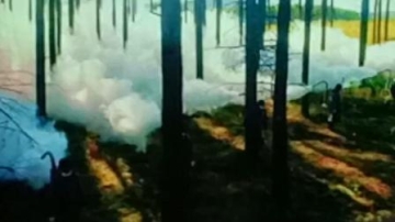 央视公益广告: 绿水青山就是金山银山