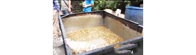 【拍客】深圳炼潲水油，月交三百无人查处