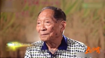 87岁袁隆平全程英文演讲 向世界介绍杂交水稻
