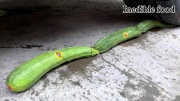 牛人把黄瓜放到车轮下，好过瘾呀，真的好减压