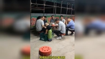 忙碌的萌娃