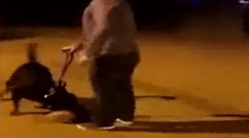 实拍泰迪遭大狗10秒咬死 狗主人当场痛哭崩溃