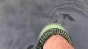 赶海实拍：皮皮虾我来带你回家喽！