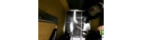 电梯地板突然崩塌 原来只是影像特效