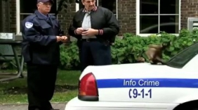 国外街头恶搞路人：顶级恶作剧，真是绝了