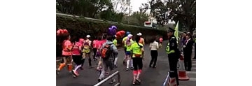 【拍客】深圳三八节女子马拉松赛