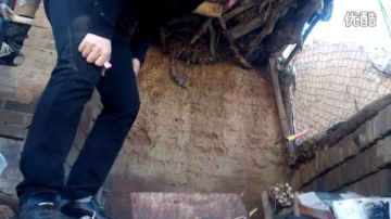 牛人武智玩逗逼