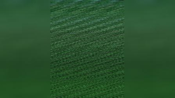 保护生物多样性共建生命共同体公益广告（CCTV-14）