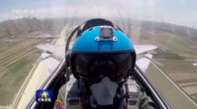 歼-15空中撞鸟！ 飞行员沉着驾机带火着陆