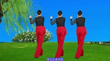 热歌广场舞《鸿雁向南飞》背面完整版