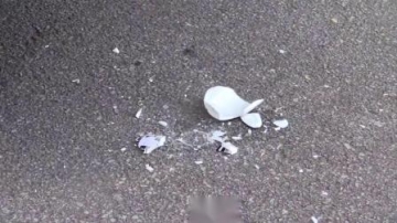 牛人用汽车碾压巨型棒棒糖，真的好减压啊，好过瘾啊