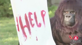 老外街头恶搞 让人爆笑的素描