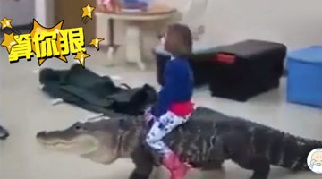 妹子求背背，这坐骑感觉好高端的样子！