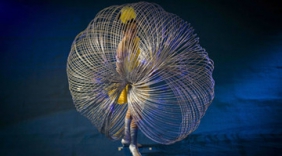 武林高手在民间，没有个绝活谁敢说自己是牛人啊？