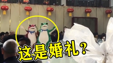 婚礼也有“显眼包”？宾客：新郎新娘在哪？父母：那俩蛤蟆就是