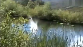 全球牛人的绝活表演大锦集，跪着看完的